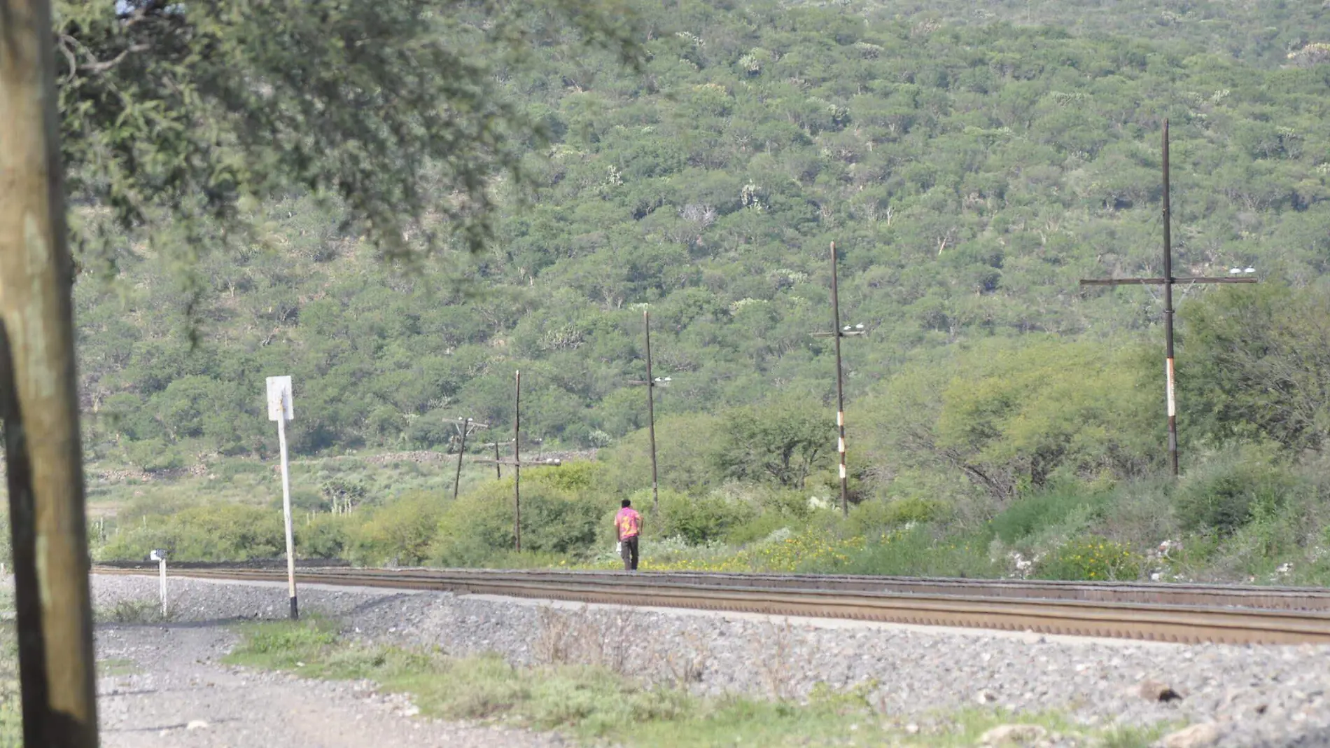 Migrantes caminan dos horas y media de Rayón, Hidalgo a Viborillas en Querétaro para